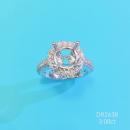 MTXX_20241128_135337532_edit_515301457851058