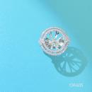 MTXX_20240815_135346429_