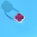 BR69_20220718145649_