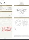 3.01 I SI2 GIA7401479911