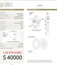 橢圓形1.01ct FIY VVS2 GIA2215039967